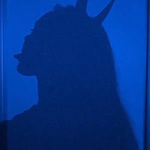 Meet your Posher, Chacha